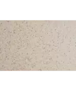 Кухонная мойка MODENA 1,5B2D BEIGE - 4
